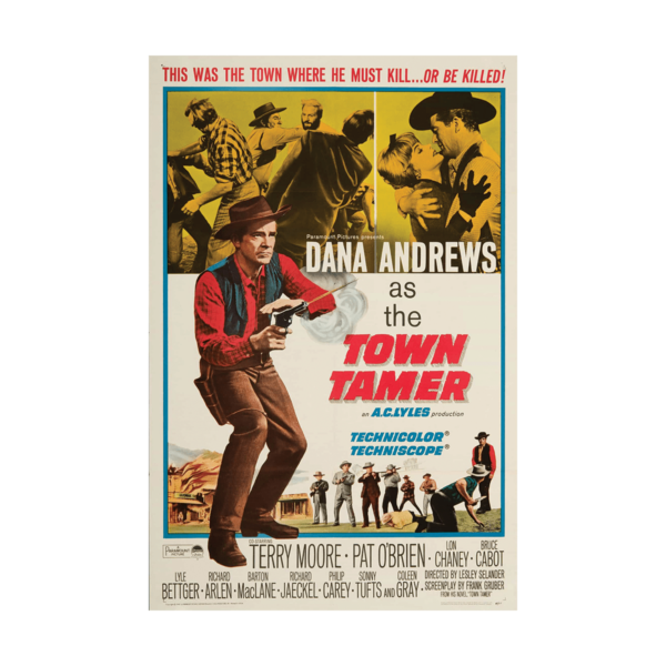 Town Tamer Movie Poster Lesley Selander 1965 Poster
